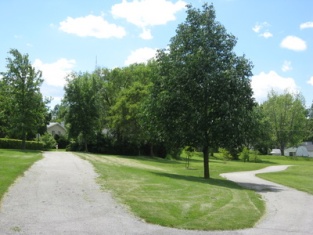 Walking path